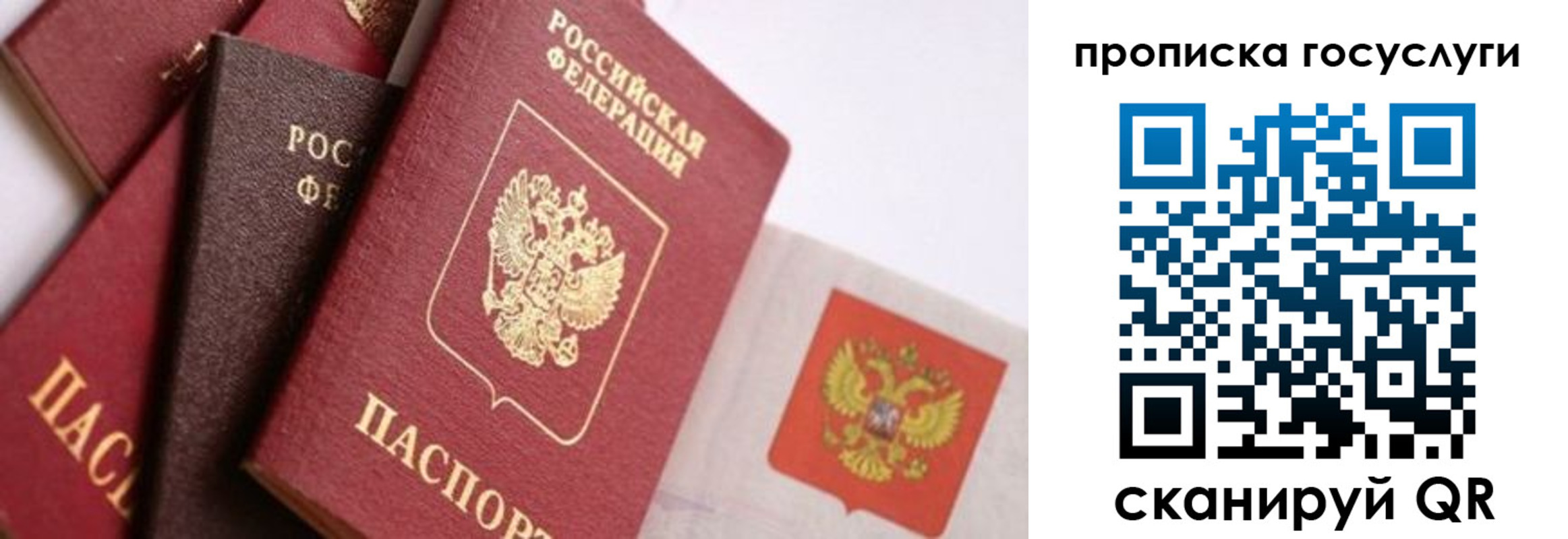 прописка законно в Кораблино